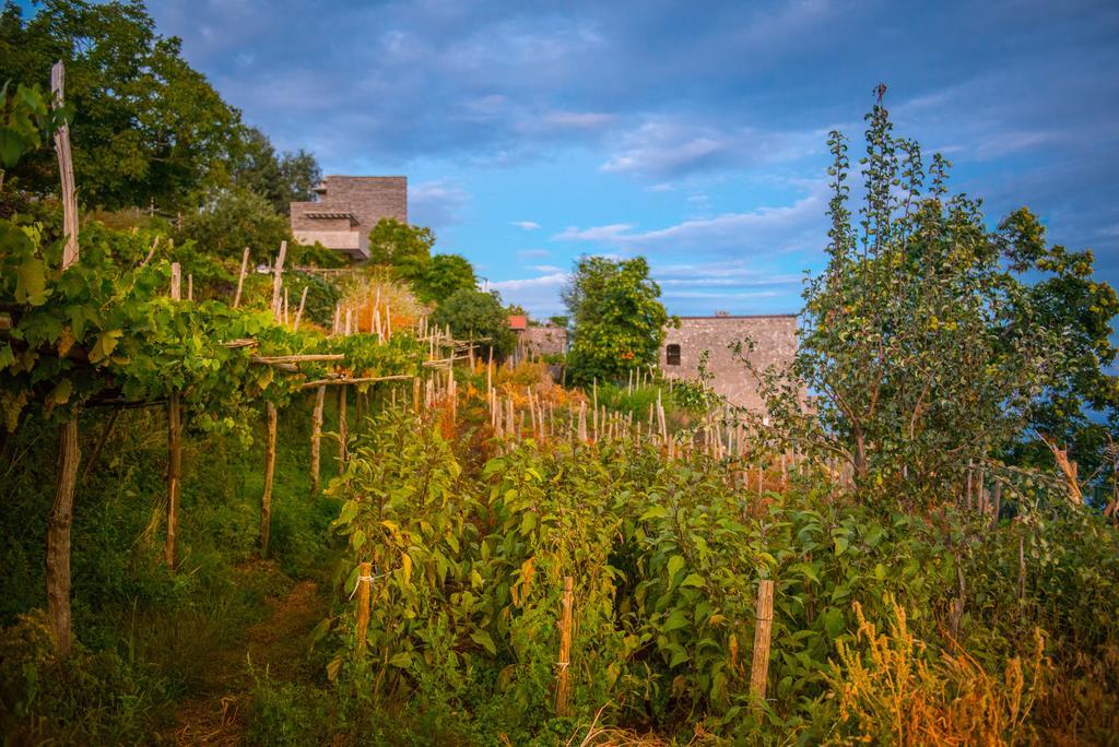 Agriturismo Mare E Monti Аджерола Экстерьер фото