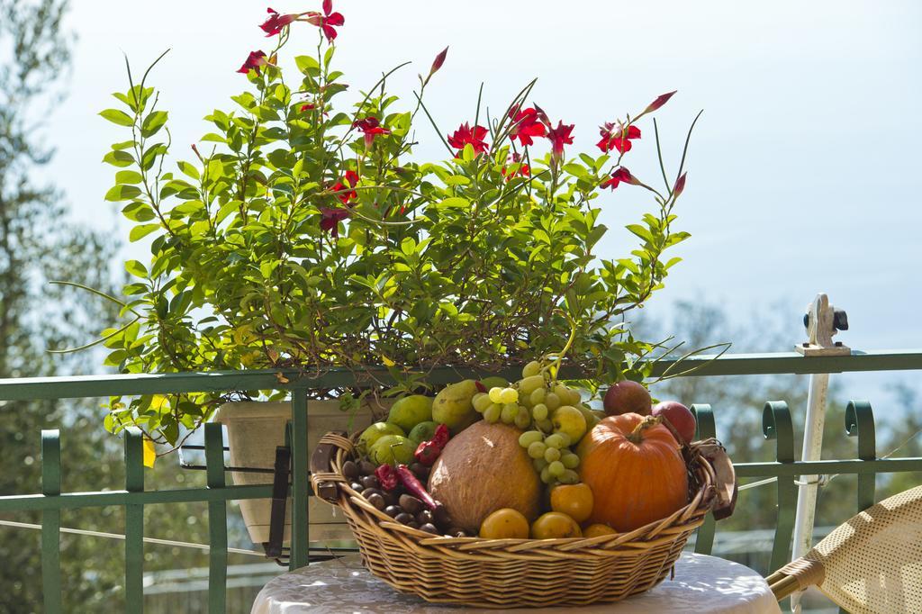 Agriturismo Mare E Monti Аджерола Экстерьер фото
