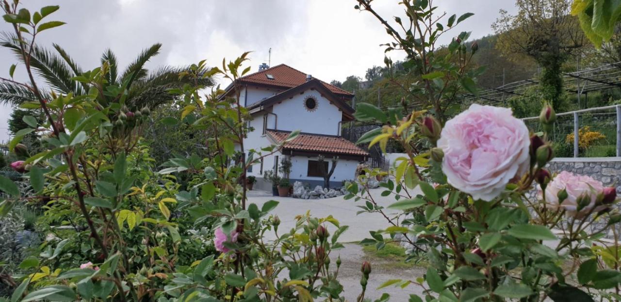 Agriturismo Mare E Monti Аджерола Экстерьер фото